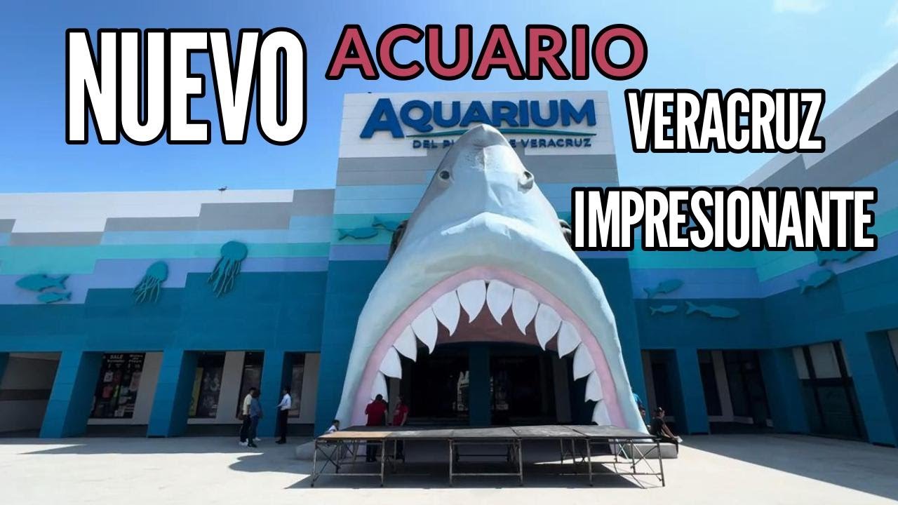 ASÍ ES EL NUEVO ACUARIO DE VERACRUZ, QUEDO IMPRESIONANTE, REGRESAN LOS DELFINES🐬❤️
