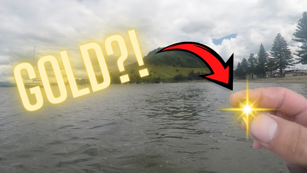Perfect signal on the Minelab Xterra-Pro - Did I strike Gold?