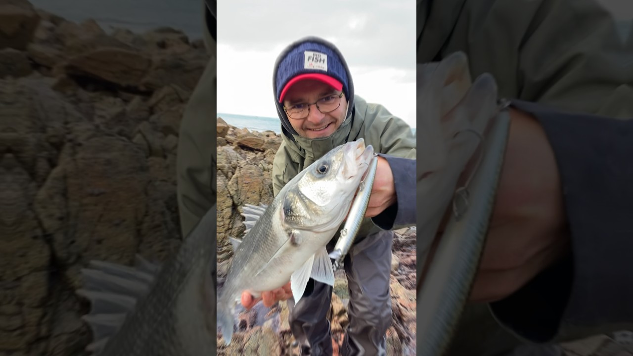 Bar au Tide minnow Lance 140S