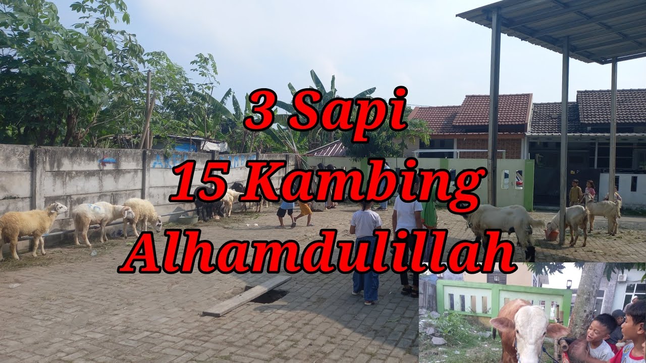 HEWAN QURBAN IDUL ADHA 1446 H 2025 DI GSR TANGERANG #iduladha #qurban #fyp