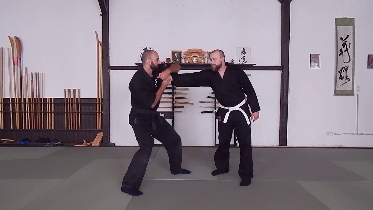 Bujinkan - Hajutsu Kyu Ho