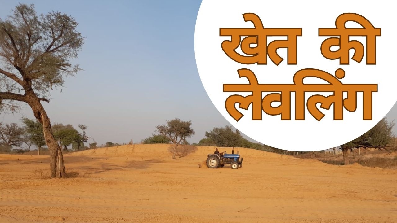 JCB से खेत की लेवलिंग 🚜 | मेहनत से हरियाली तक 🌾 | फसल, पशु और गांव की असली जिंदगी