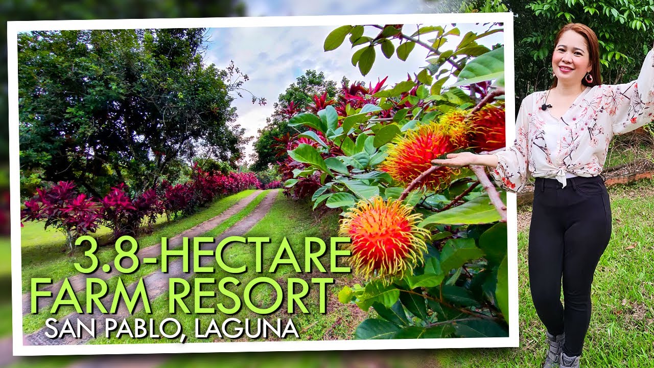 Come Join Me Explore this 3.8-hectare Farm Resort  in San Pablo, Laguna