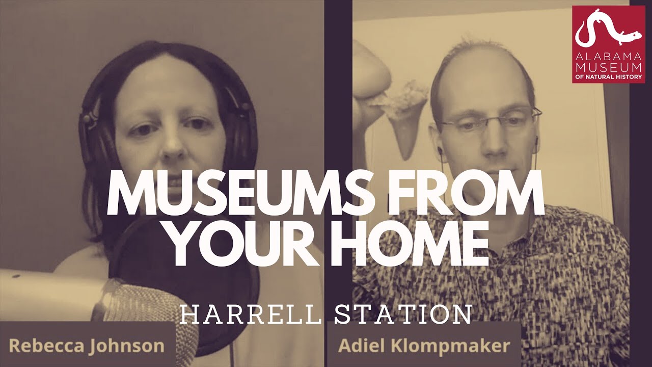 Museums From Your Home: Harrell Station