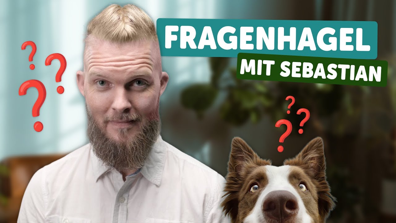 Fragenhagel! | Tierarzt Tacheles mit Sebastian Go&szlig;mann-Jonigkeit | ZooRoyal