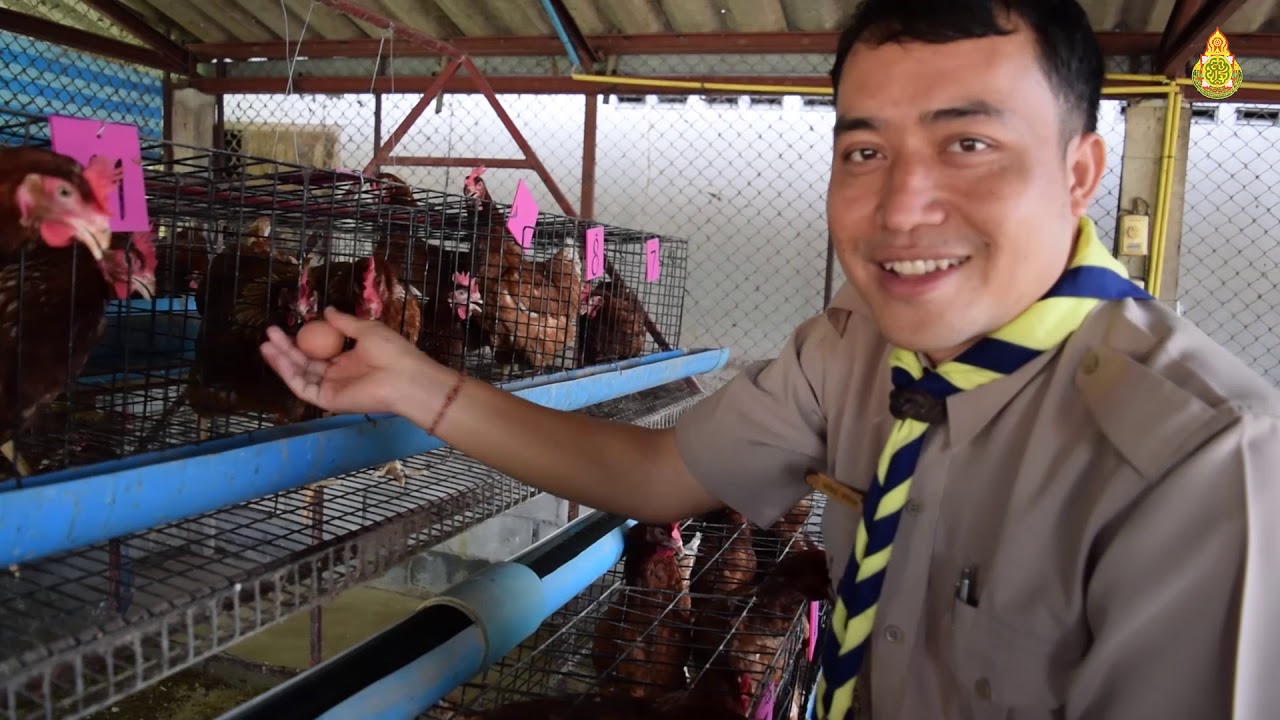 การปลูกฝังวินัย และความรับผิดชอบ ร.ร. บ้านคลองอุดม