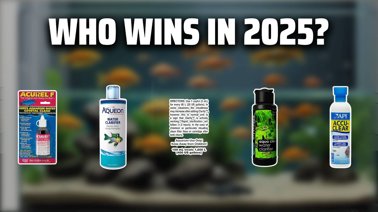 The Top 5 Best Water Clarifier in 2025 - Must Watch Before Buying!