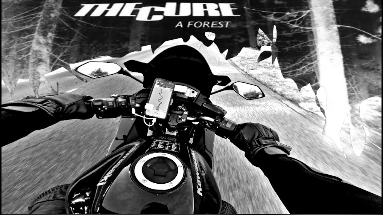 ER6F A2 2011 | The Cure - A Forest