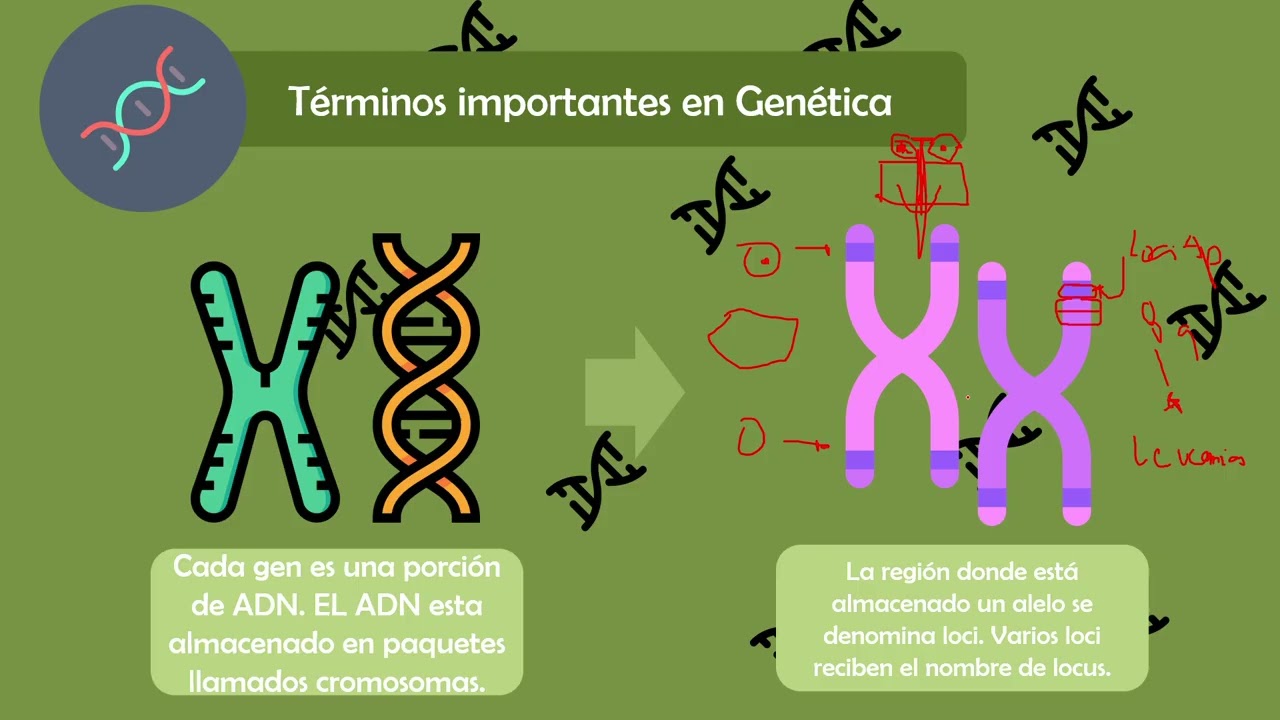 Farmacogenómica 2025
