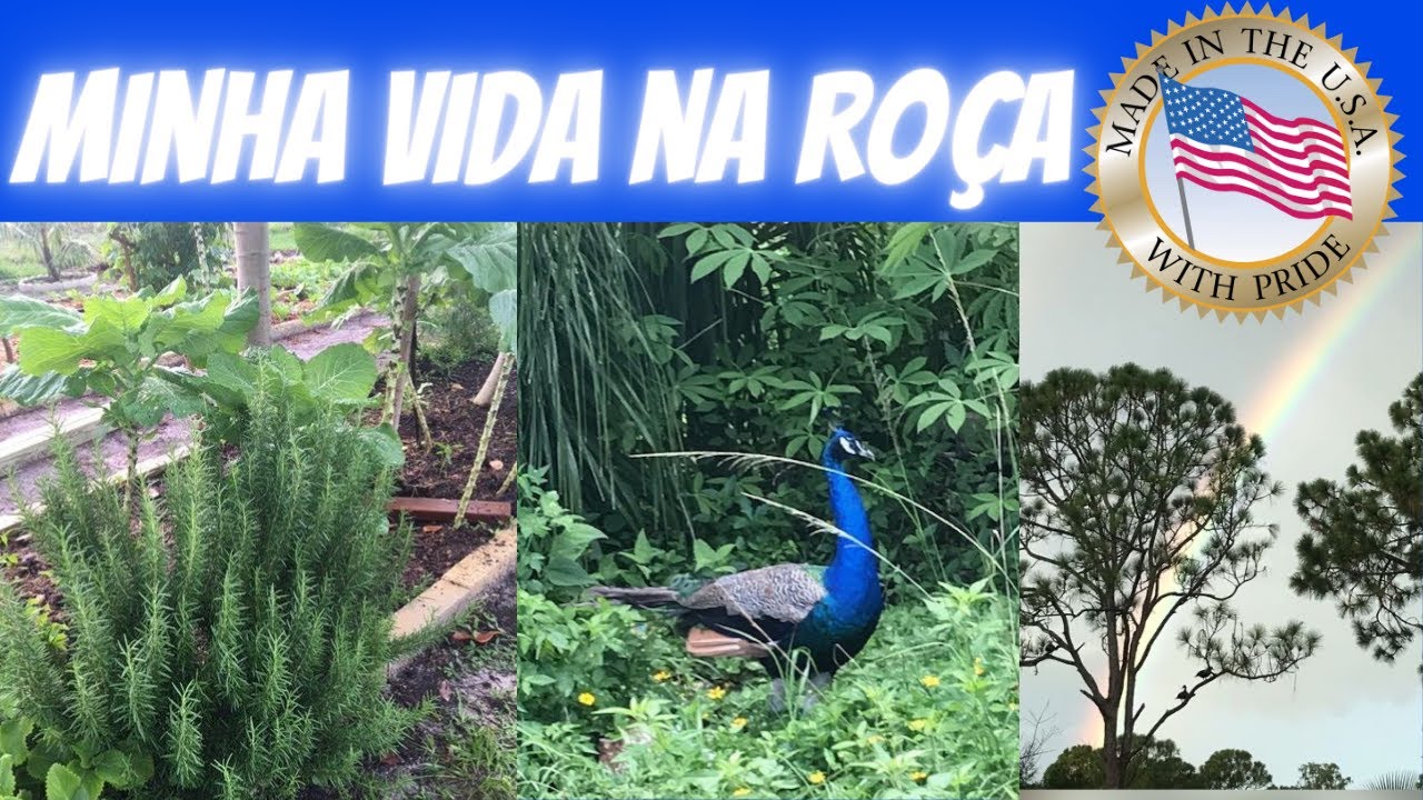 MINHA VIDA NA  ROÇA, USA
