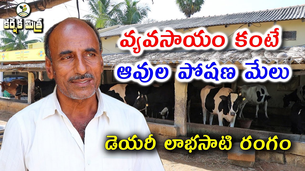 ఆవుల పోషణతోనే మా జీవనం || Success Story of Dairy Farming by Chittoor Farmer || Karshaka Mitra
