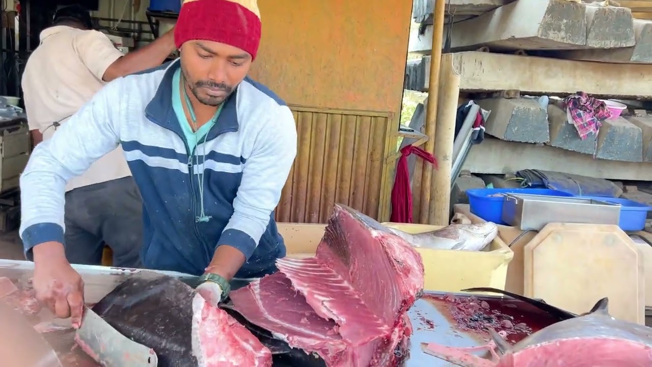 Yellowfin (Tuna)￼ 87kg Fish Cutting video 🎣🎣🎣