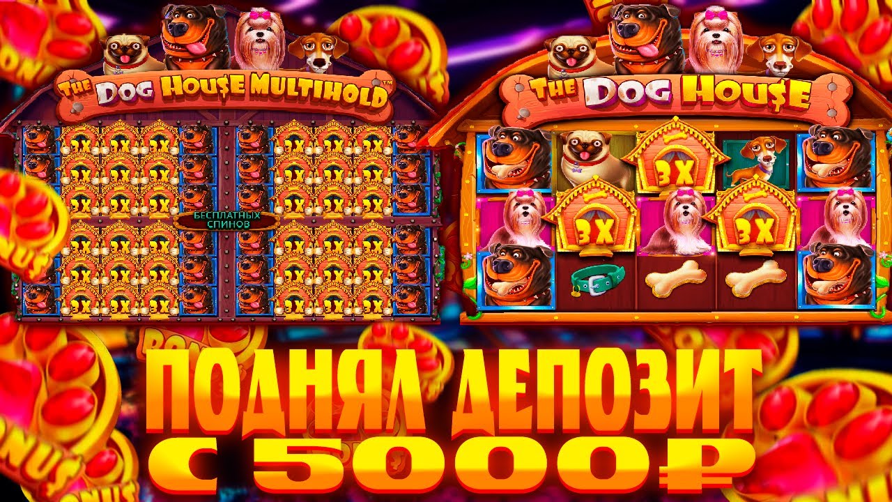 ПОДНЯЛ ДЕПОЗИТ С 5000р В СЛОТАХ The Dog House И The Dog House Multihold