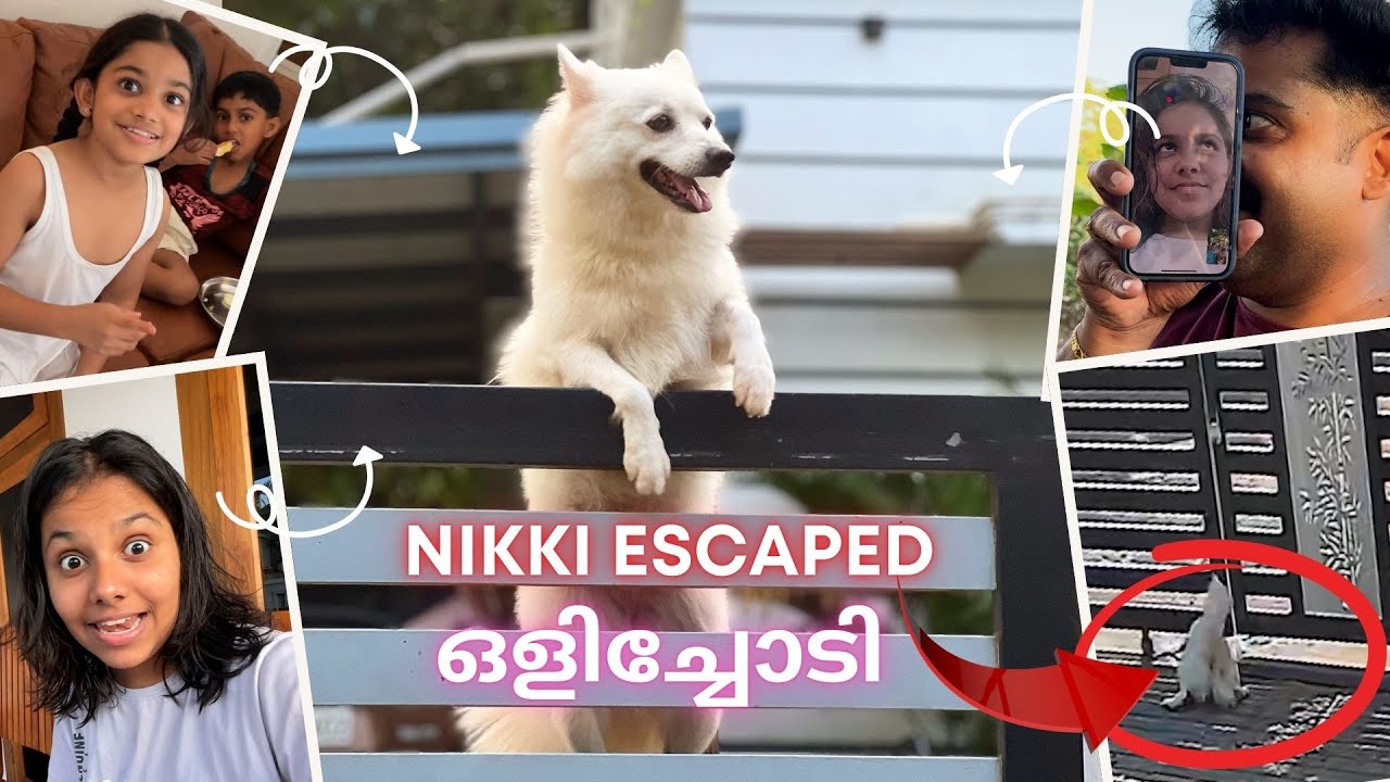 നിക്കി വീട്ടിൽനിന്ന് ഒളിച്ചോടി 🫨 | Exclusive CCTV Visuals ⚠️‼️