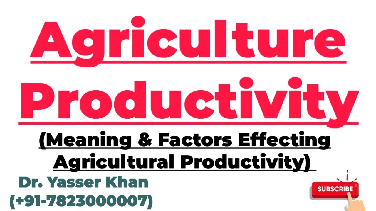 Agriculture Productivity | Factors Effecting Agricultural Productivity | Economics | CUET UGC UPSC