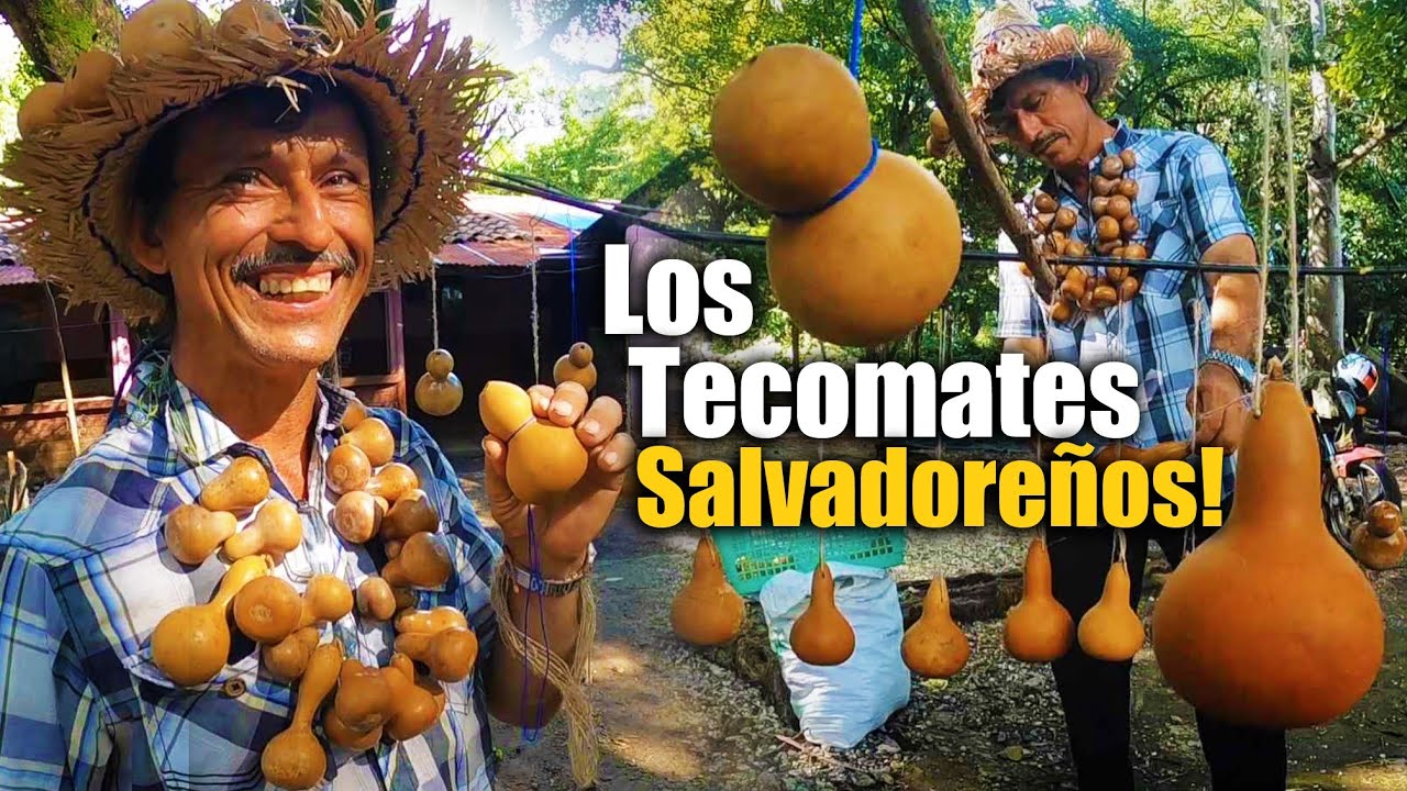Los famosos Tecomates de El Salvador! preservemos nuestra cultura! San Juan Opico!