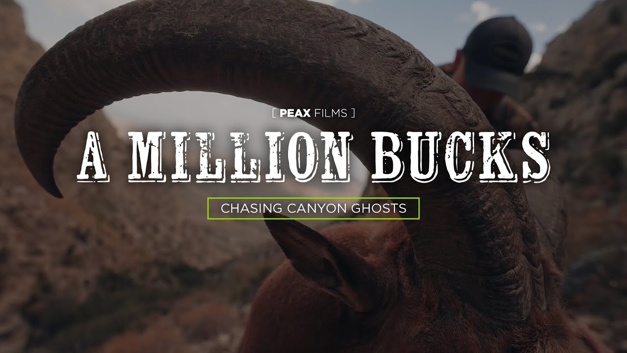 [ PEAX FILMS ] A MILLION BUCKS - TEXAS AOUDAD HUNT