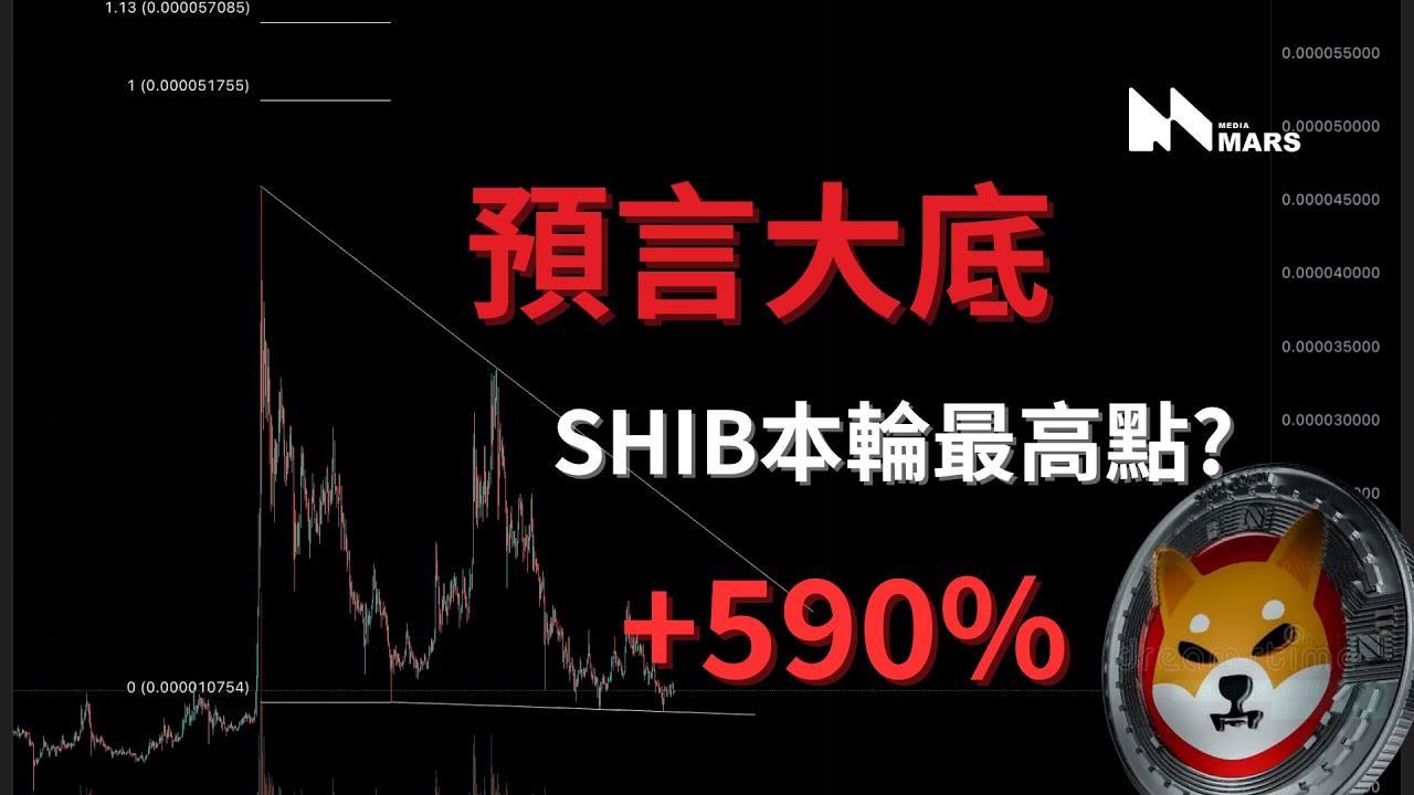 柴犬幣經典抄底回顧！SHIB未來目標價格？#shib