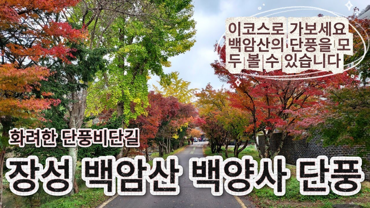 백암산 백양사 단풍  이코스로 가보세요 최고의 단풍길을 소개합니다 2025-11-09