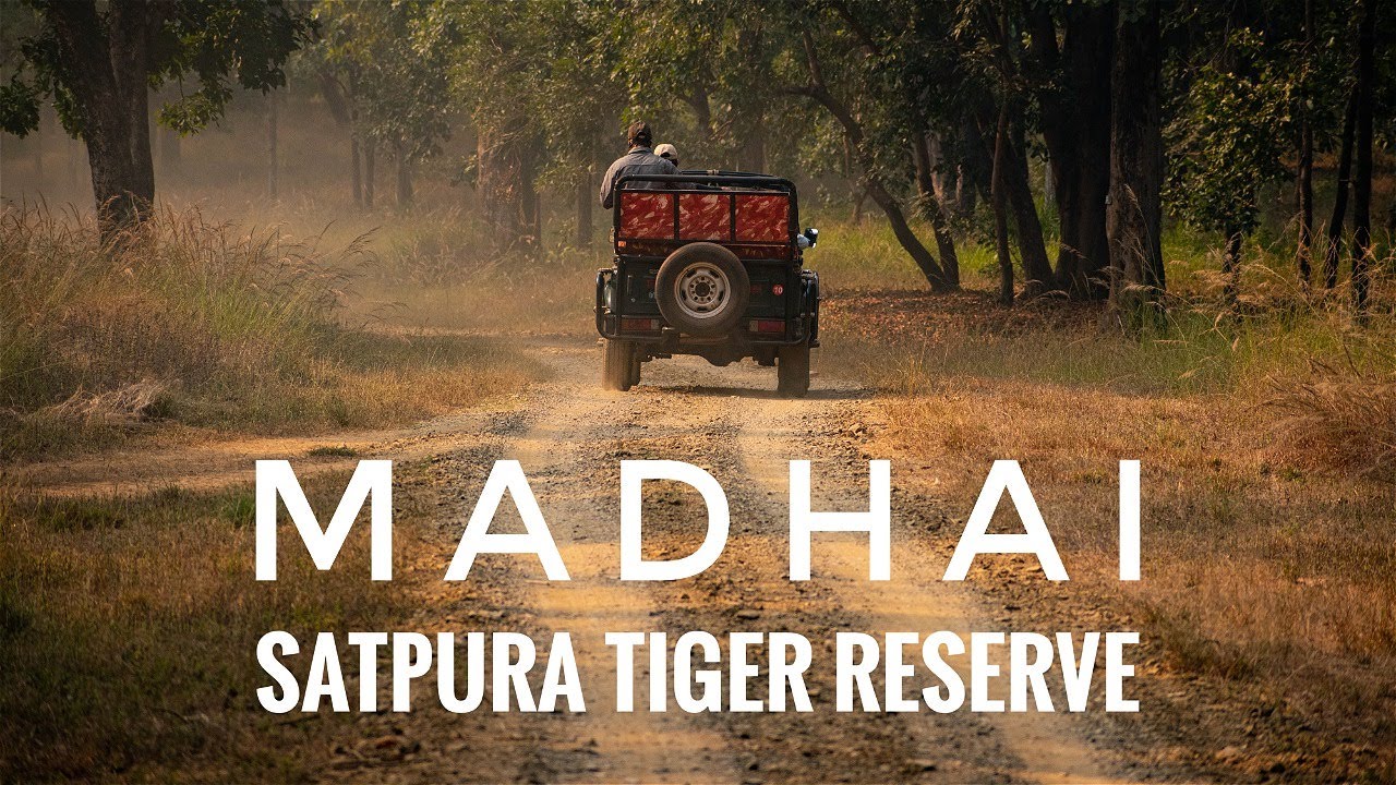 Madhai - Satpura Tiger Reserve Mini VLOG