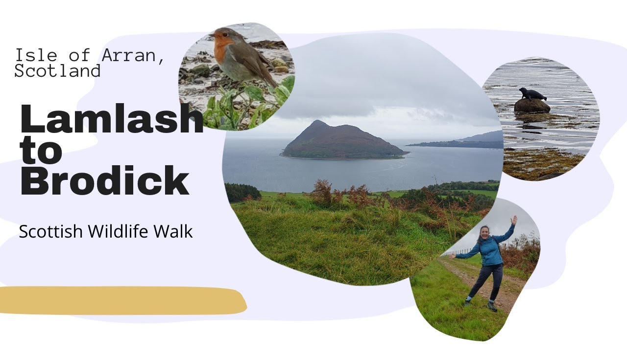 Isle of Arran Scotland coastal walk Lamlash to Brodick via Dun Fionn; Iron Age Fort #scotland #hike