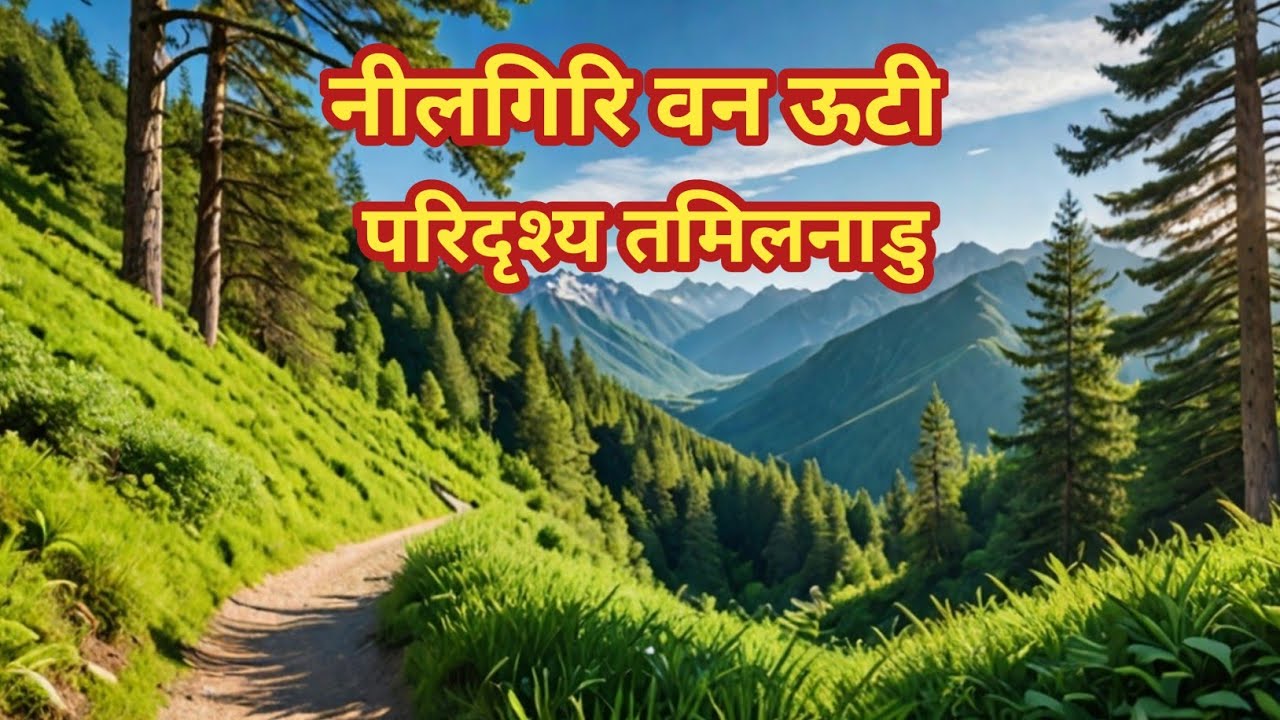 Nilgiri forest ooty landscape  Tamilnadu || नीलगिरि वन ऊटी परिदृश्य तमिलनाडु | 4kvideo | travel |
