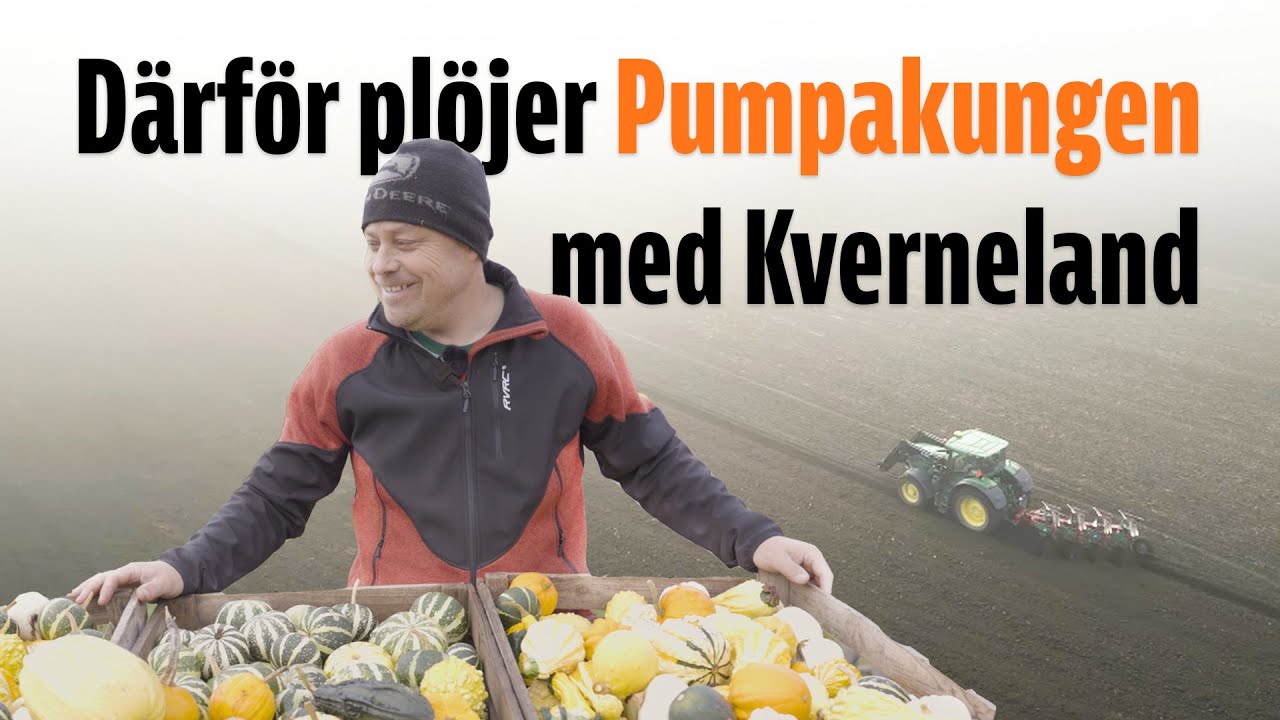In i dimman hos 
