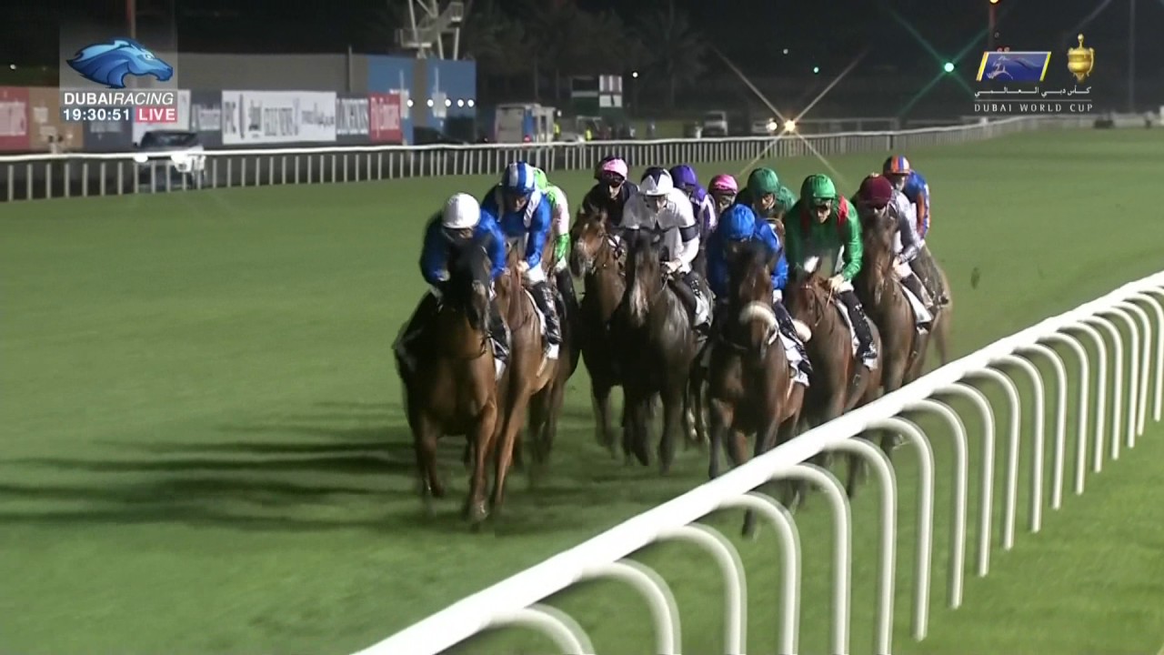 Dubai Turf 2017 - Vivlos