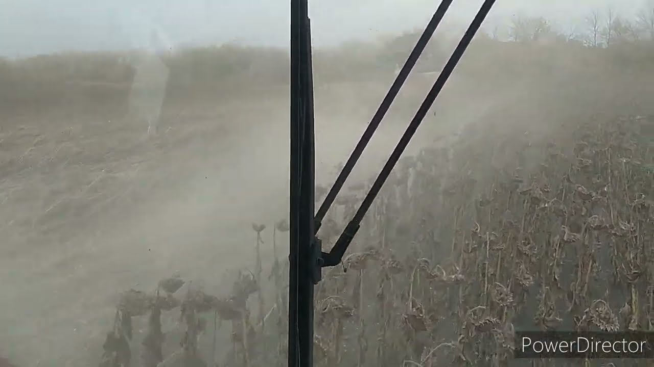 Акрос 595+.Уборка подсолнечника.Завершена.