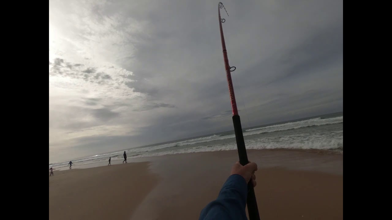Keurbooms Bronzie