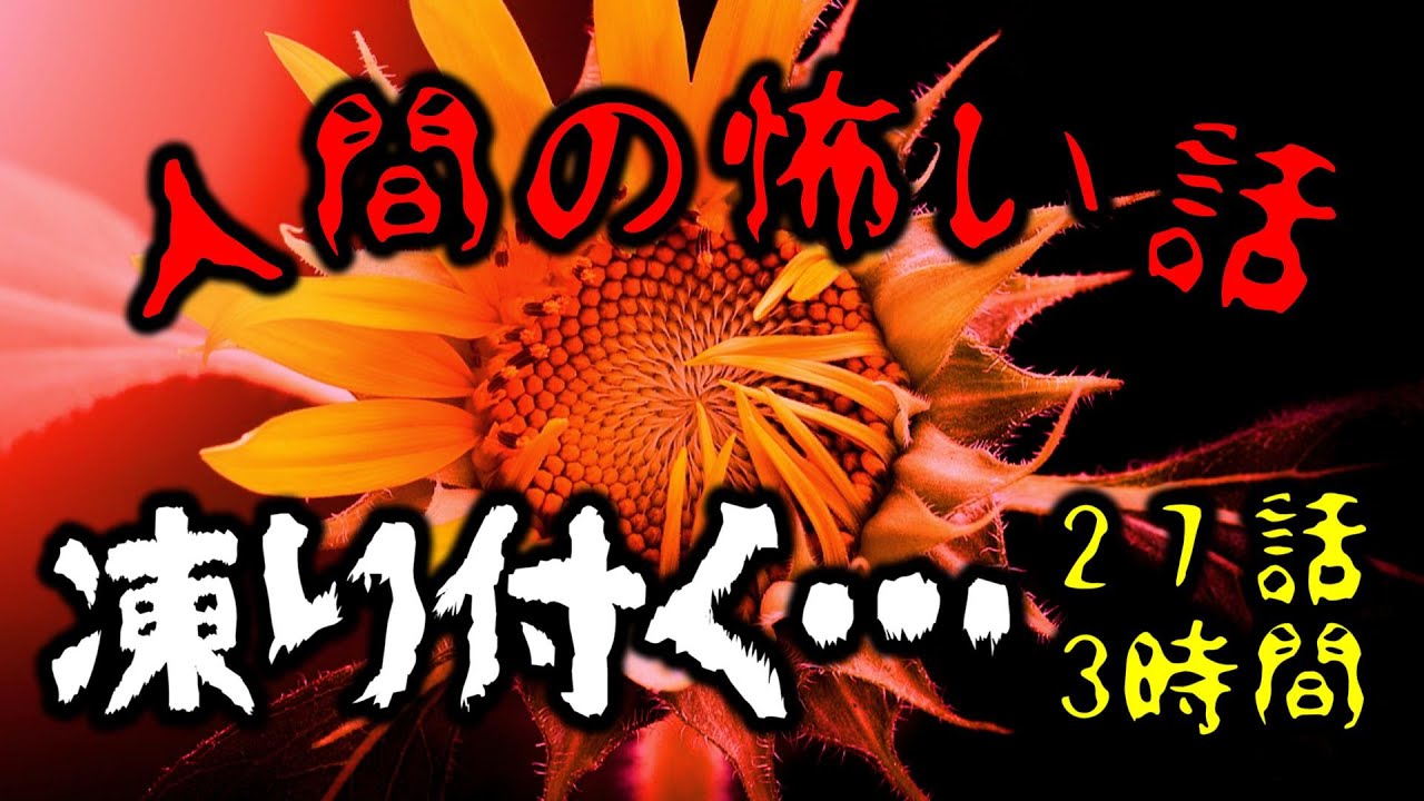 【怪談朗読】人間の怖い話(人怖)ヒトコワつめあわせ  2024年初春まとめ 全27話 睡眠用・作業用BGM 3時間 びびっとな低音ボイス