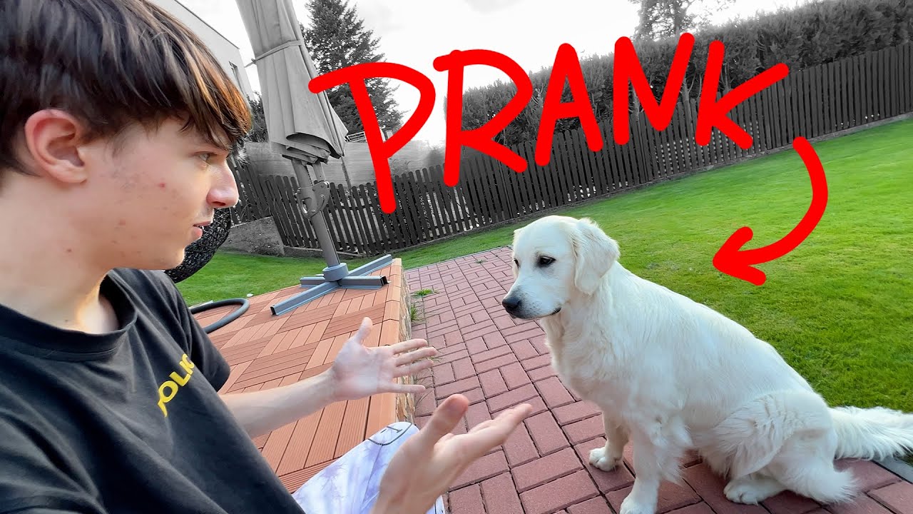 PRANK na Amy! - DayVlog_830 (2.8.2022)