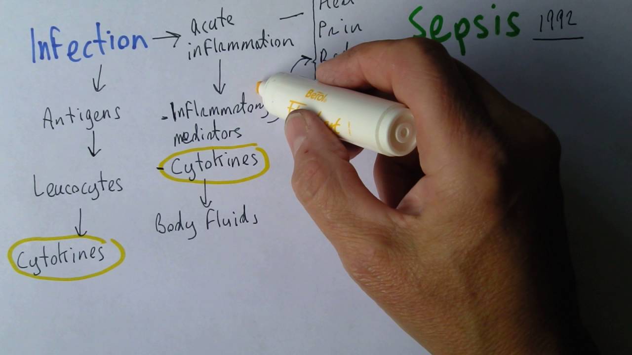 Sepsis 1,  Infection and response