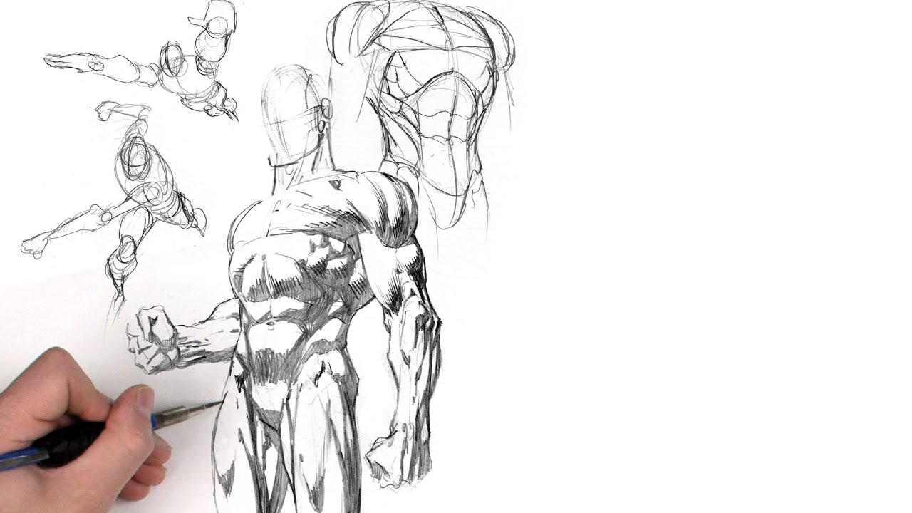 Dynamic Figure Drawing: The Body with David Finch