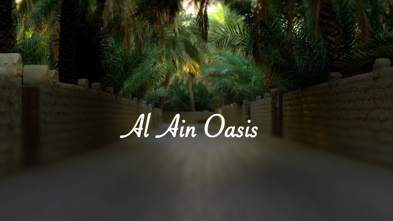 Alain Oasis - walkthrough