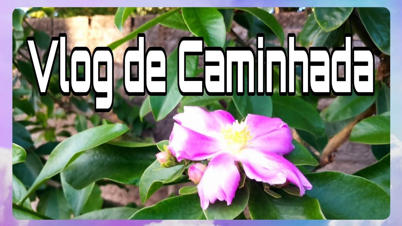 Vlog de Caminhada 