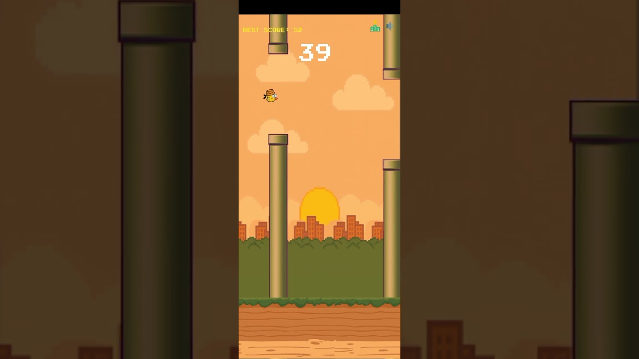 Birdy 🐦🐦🕊️ bird