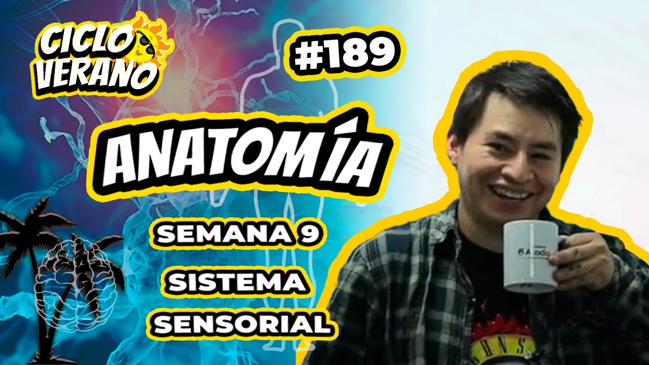 189- VERANO - SEMANA 9 - ANATOMÍA SISTEMA SENSORIAL - 07/03/2024