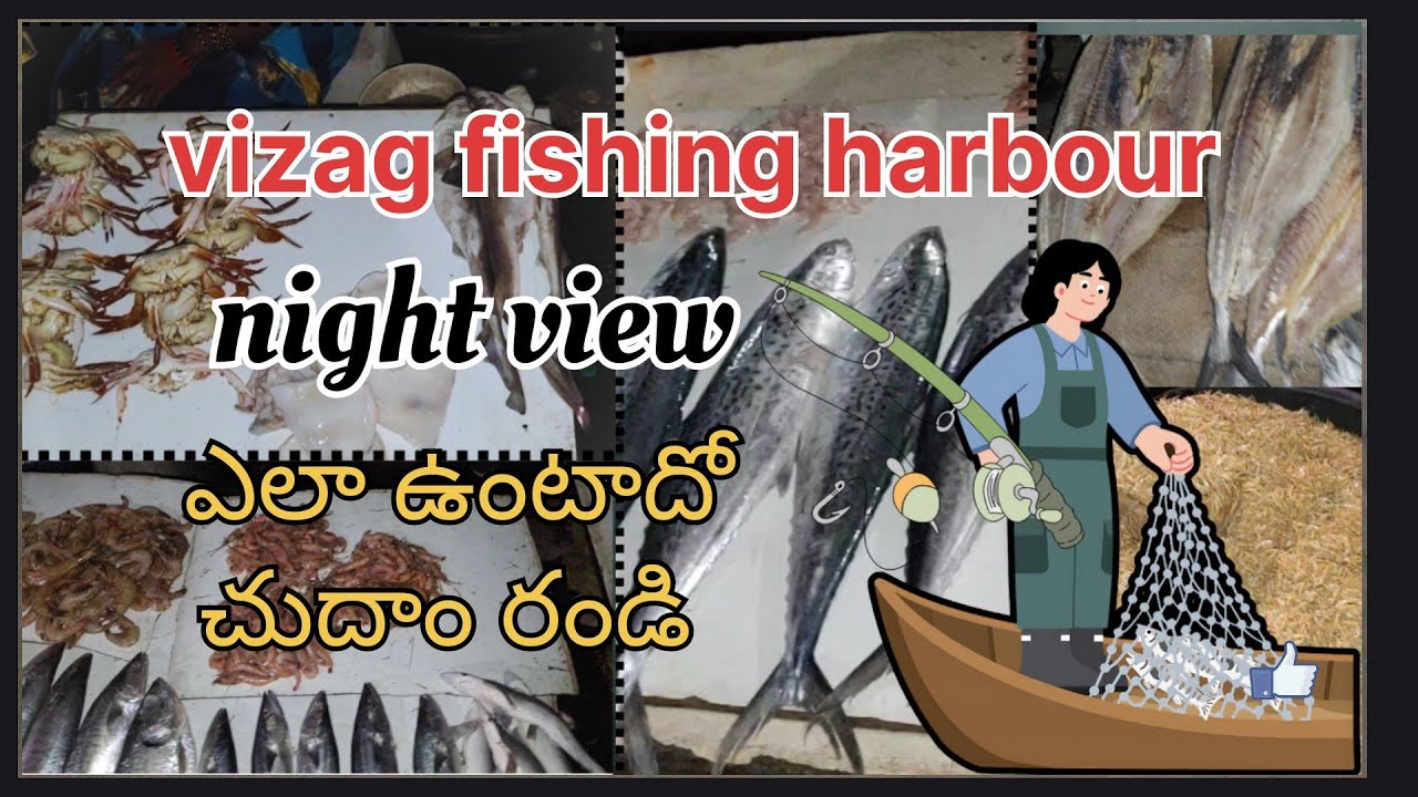 Vizag fishing harbour night view telugu #youtube#telugu#youtubeshorts#vizag#video 
