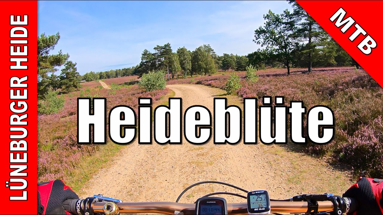 Durch die Heideblüte | 07.09.2021 | MTB Lüneburger Heide