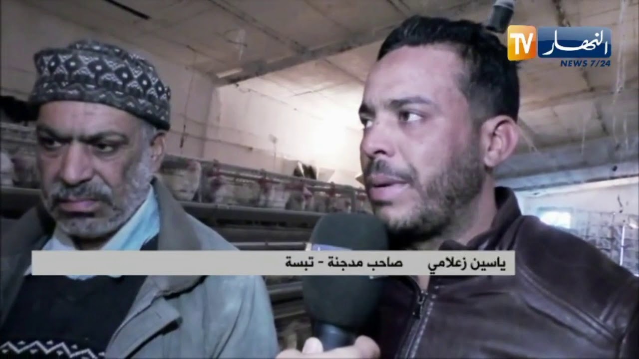 تبسة : ياسين ..رغم الظروف ينجح في تجسيد ثاني مشروع إنتاجي بمنطقة ظل
