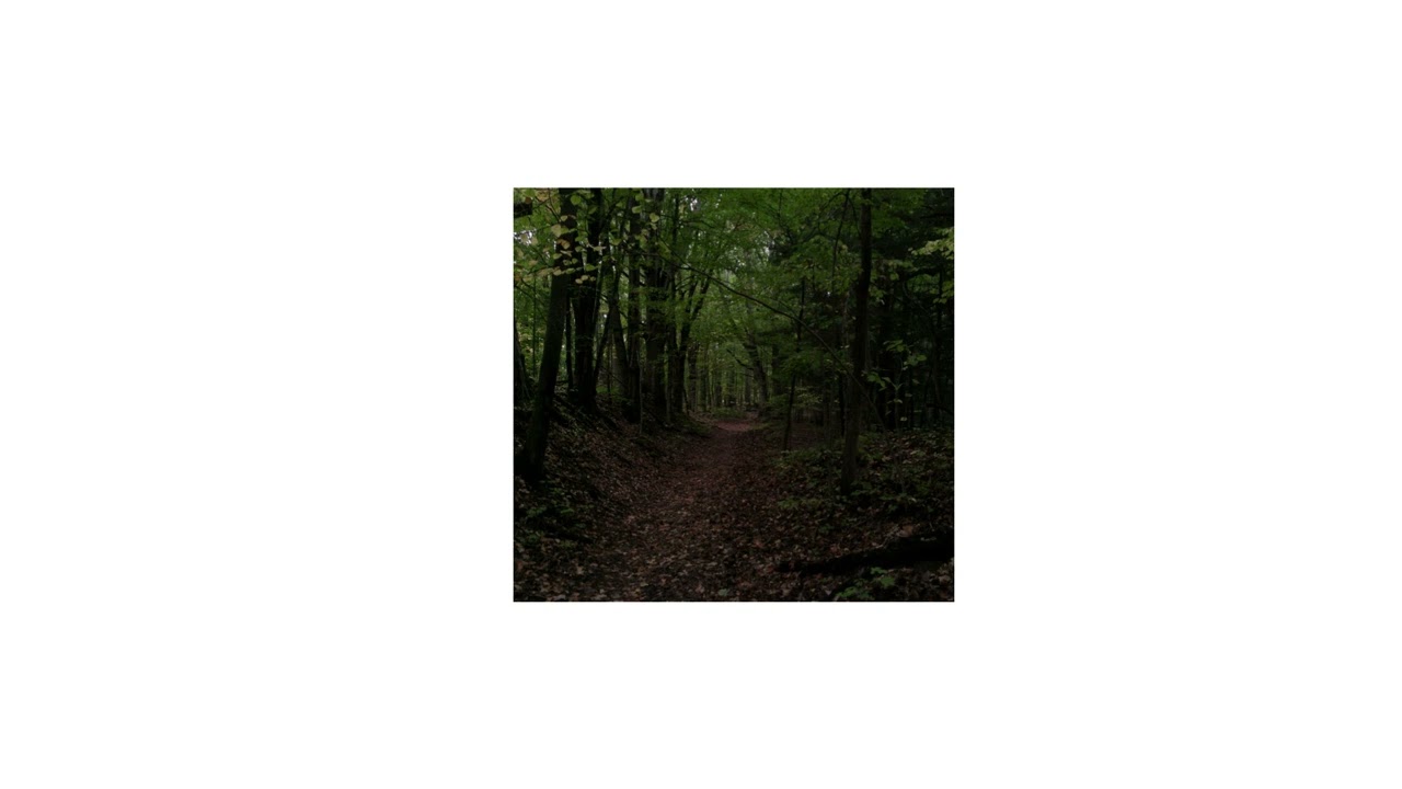 free sign crushes motorist slowcore type beat - 
