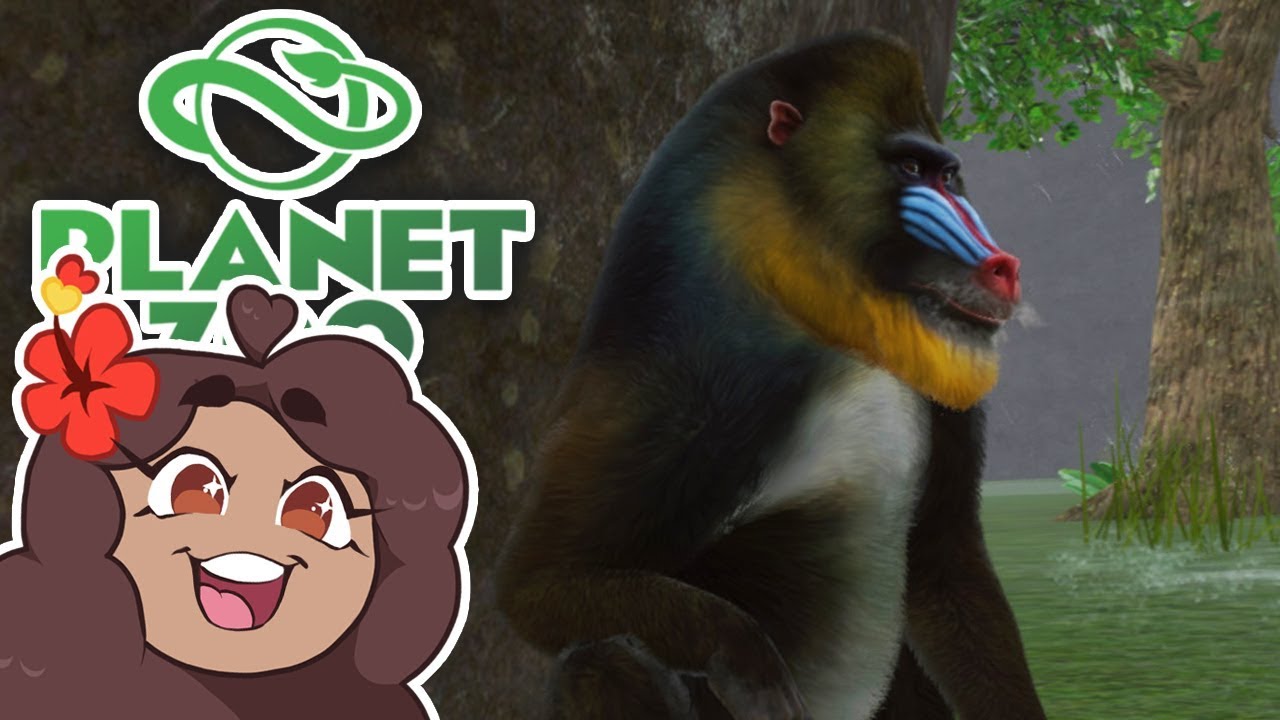 Король мандрилов прибыл! 🐼 Daily Planet Zoo! • День 31
