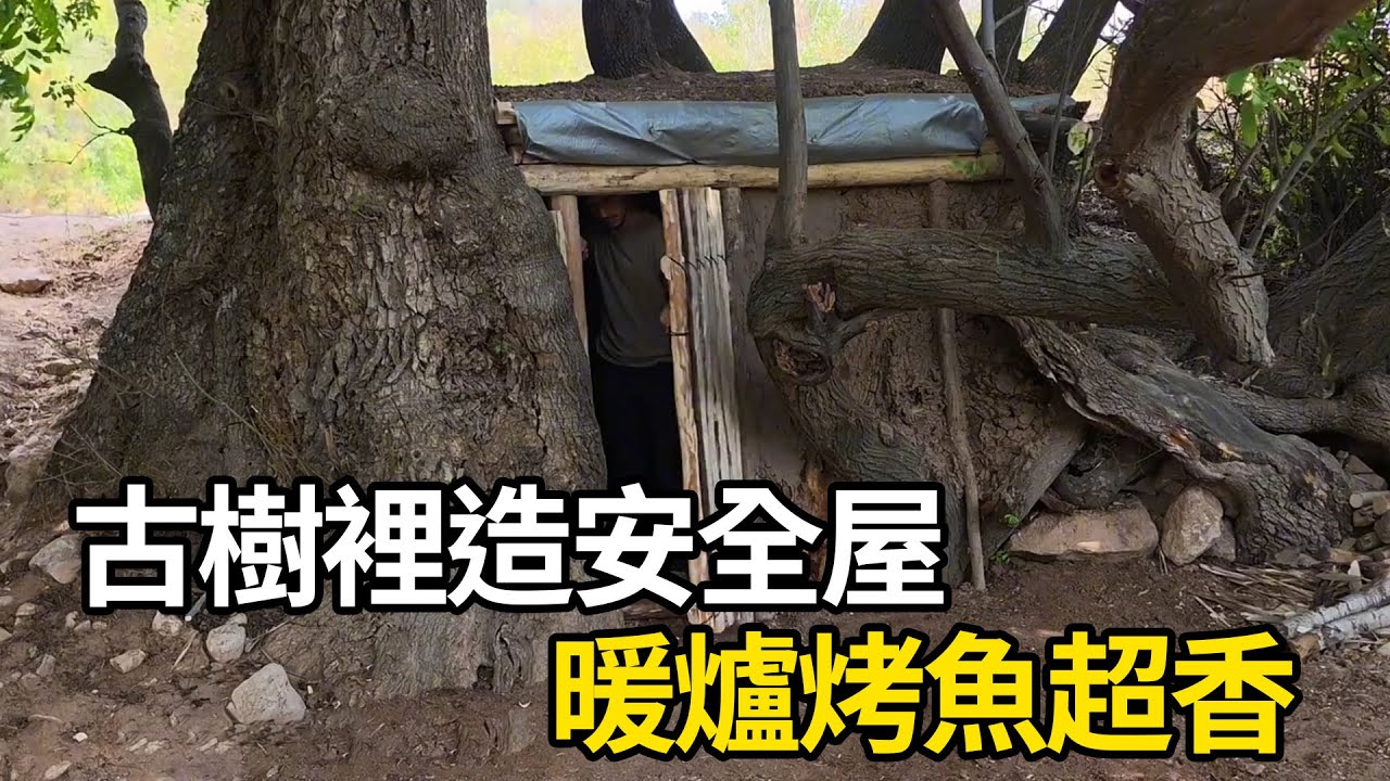 把古樹改成庇護所，有壁爐有軟床還能烤河鮮！| #紀錄片 #有趣  #creative