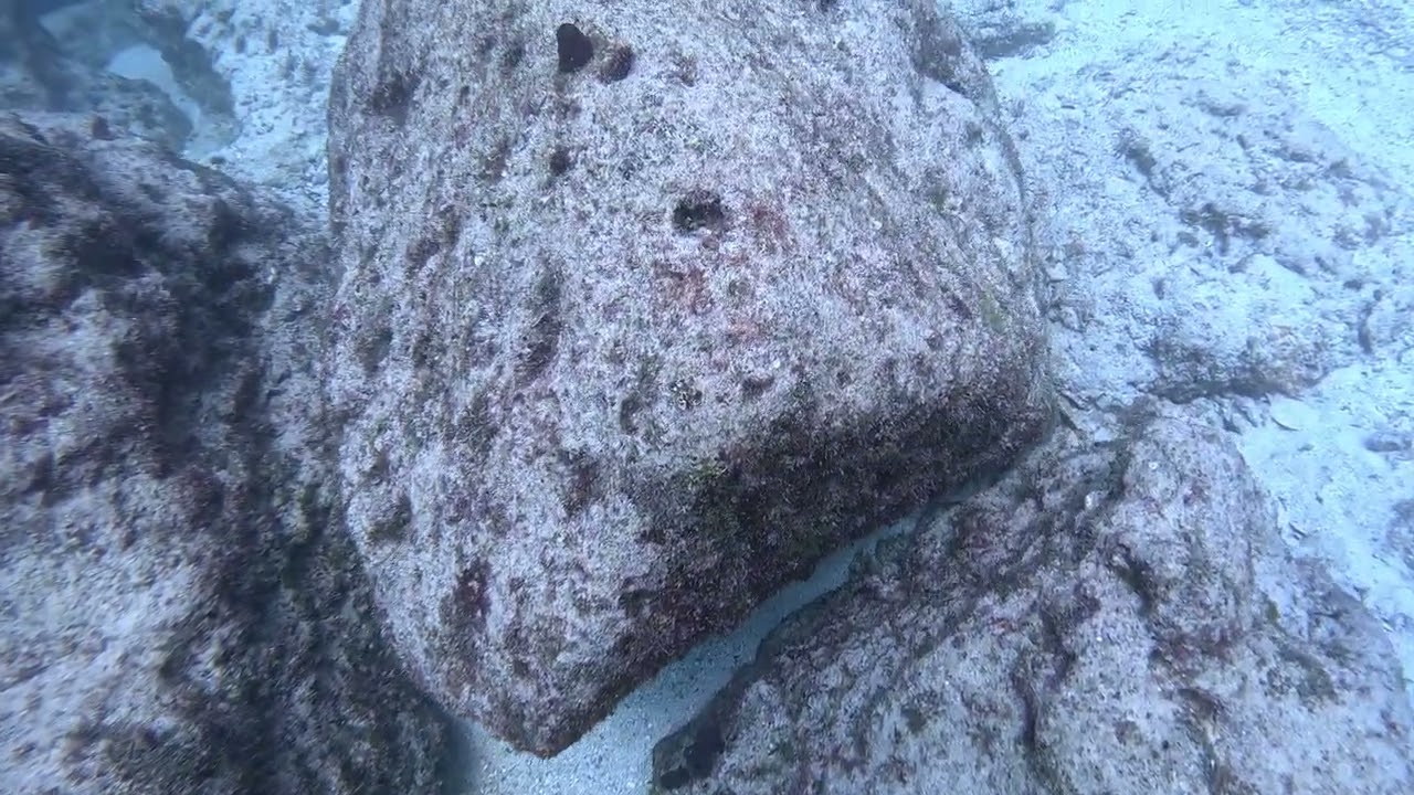 GX010098