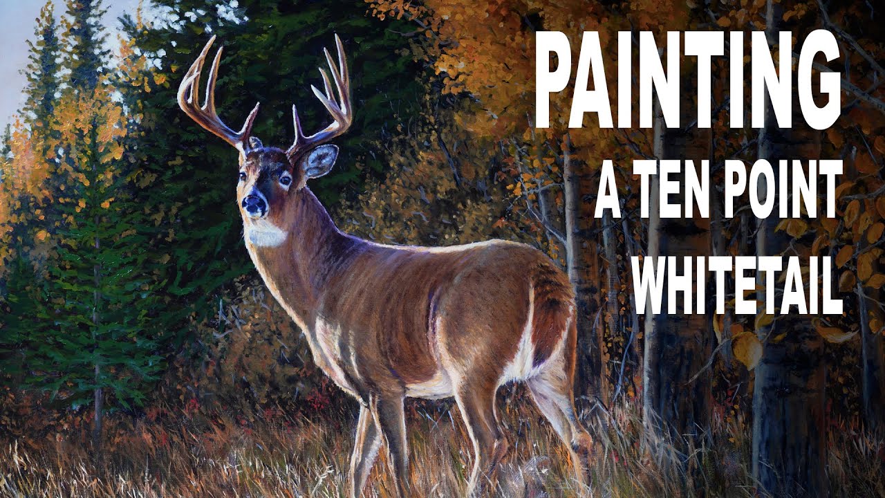 How I Painted A Ten Point Whitetail Deer