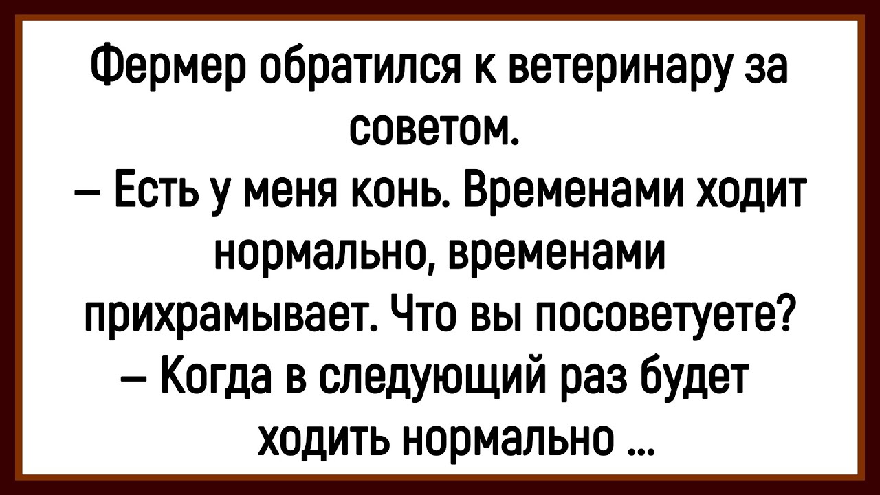 💎Как Фермер К Ветеринару За Советом Обратился! Сборник Смешных Анекдотов! Юмор! Позитив!