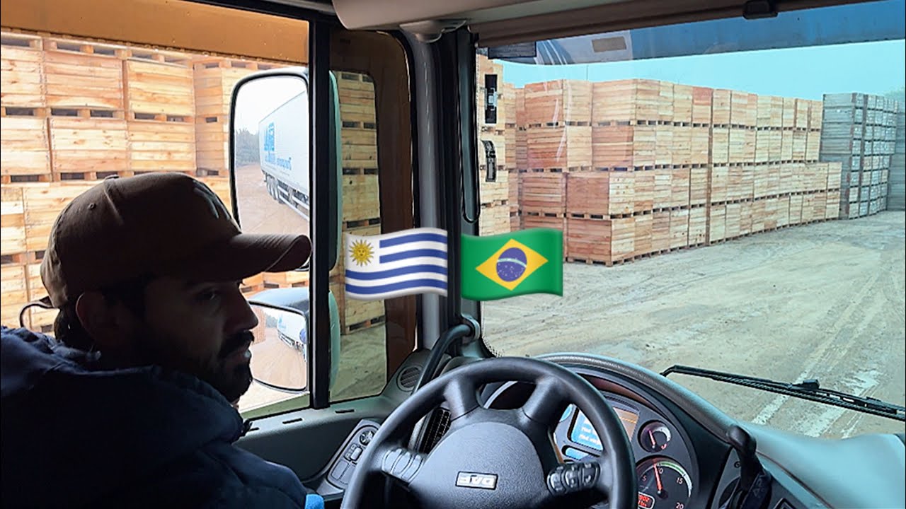 Mercosul- Carregamento de laranja do Uruguai para Brasil 🚛 🇺🇾🇧🇷