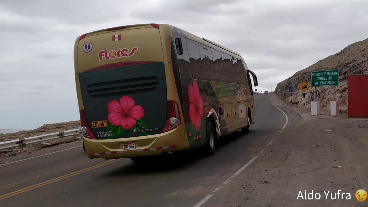 Buses Del Sur Del Perú