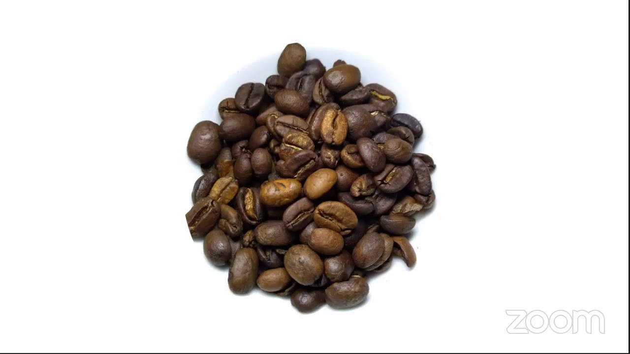 Aprendiendo sobre el café: origen, cultivo, evaluación y más
